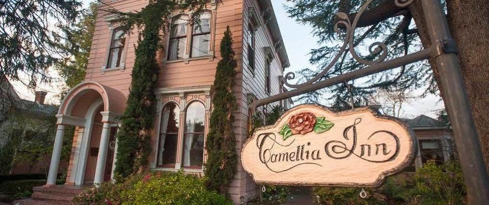 Camellia Inn هيلدسبورغ المظهر الخارجي الصورة